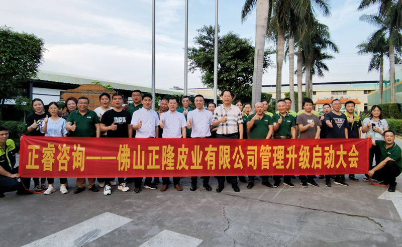 助力皮革行業(yè)再樹(shù)標(biāo)桿——正隆皮業(yè)全面管理升級(jí)項(xiàng)目啟動(dòng)！