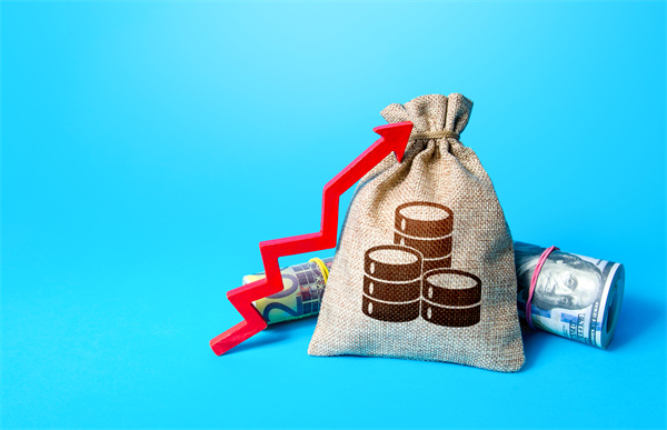 「預(yù)算管理咨詢」如何在不同階段制定不同的預(yù)算計(jì)劃？