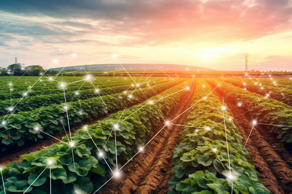 「咨詢(xún)公司」供應(yīng)鏈管理的目的和意義是什么？