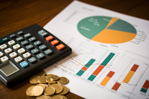 強(qiáng)化集團(tuán)管控：財(cái)務(wù)，人力資源，信息技術(shù)的整合