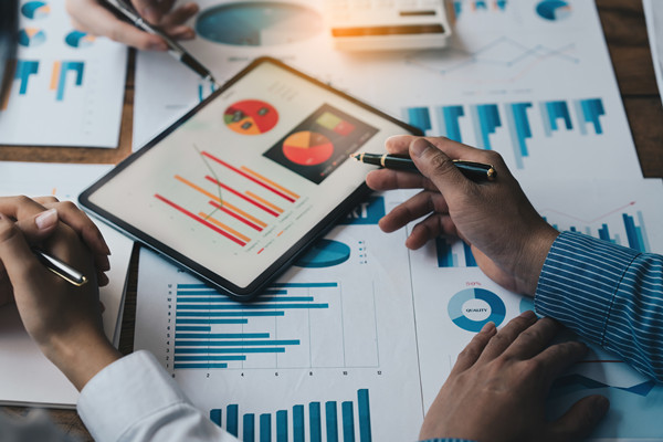 集團(tuán)內(nèi)部控制：完善內(nèi)部控制體系，確保集團(tuán)合規(guī)運(yùn)營(yíng)