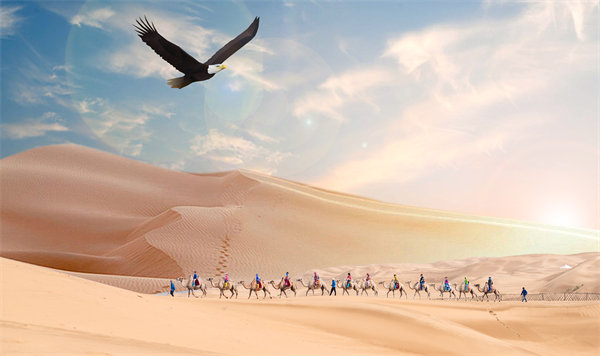 集團(tuán)管控升級(jí)迭代，激發(fā)企業(yè)活力，實(shí)現(xiàn)持續(xù)領(lǐng)先