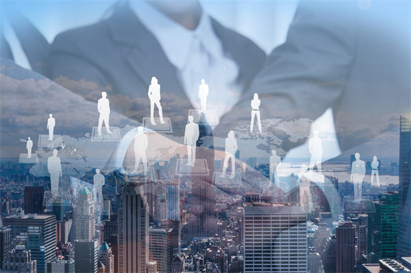 塑造卓越團(tuán)隊：人力資源管理策略與團(tuán)隊建設(shè)之道