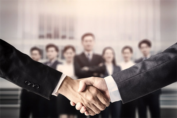 集團(tuán)管控中的戰(zhàn)略協(xié)同，推動企業(yè)持續(xù)增長與發(fā)展