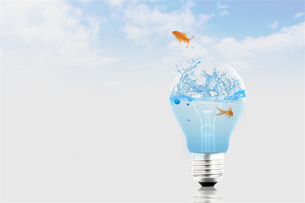 市場變化下，組織規(guī)劃如何快速響應(yīng)與調(diào)整來適應(yīng)？