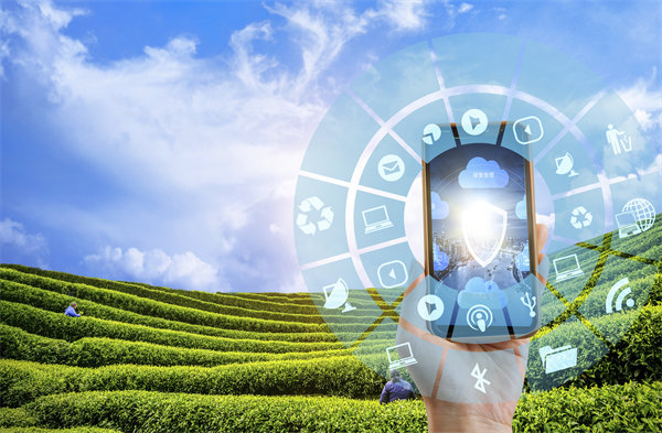 在精益轉(zhuǎn)型中，如何平衡標(biāo)準(zhǔn)化作業(yè)與靈活性需求？