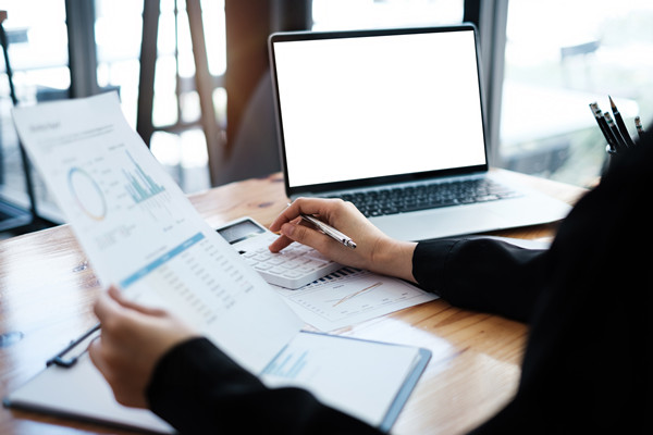 預(yù)算監(jiān)控與調(diào)整機(jī)制如何建立，確保預(yù)算執(zhí)行到位？