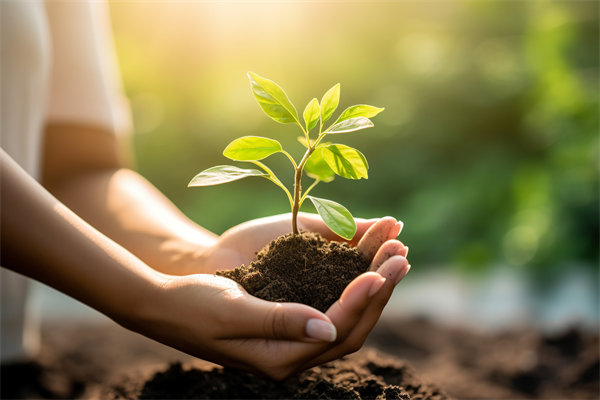 可持續(xù)發(fā)展成為趨勢，企業(yè)如何融入綠色戰(zhàn)略以促增長？