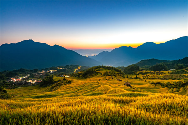 定制化管理咨詢方案：麗水企業(yè)轉(zhuǎn)型升級的鑰匙？