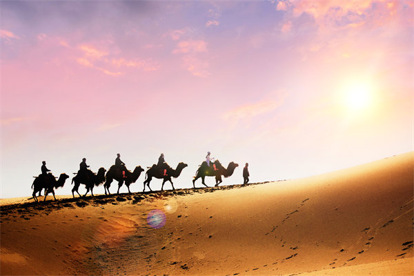 企業(yè)文化在人力資源管理中，扮演著怎樣的角色？