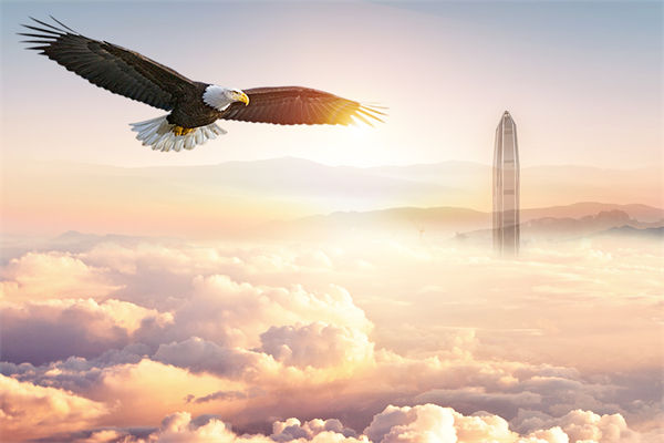 企業(yè)文化與企業(yè)管理如何協(xié)同，推動企業(yè)持續(xù)發(fā)展？