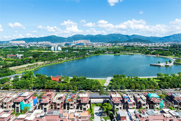 漳州戰(zhàn)略咨詢公司如何為企業(yè)定制長遠發(fā)展藍圖？