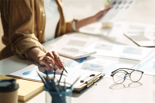 在預算執(zhí)行中，如何確保監(jiān)控與調(diào)整機制的有效性？