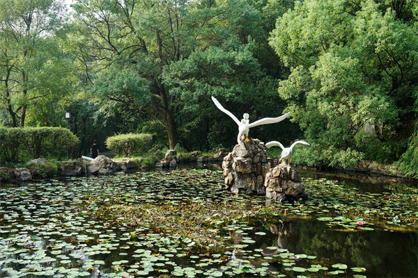 株洲預算管理咨詢公司如何為企業(yè)打造精準預算管理體系？