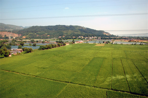 清遠(yuǎn)營銷咨詢公司如何精準(zhǔn)定位企業(yè)目標(biāo)市場？