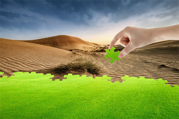 企業(yè)深陷困境，管理咨詢?nèi)绾我岳做侄未蚱瓢l(fā)展僵局？