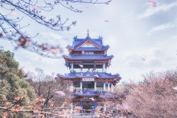 供應(yīng)鏈成本居高不下，無(wú)錫供應(yīng)鏈咨詢公司如何精準(zhǔn)砍出利潤(rùn)空間？