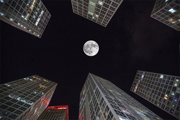 全球品牌，如何贏在中國？企業(yè)營銷管理有何啟示？