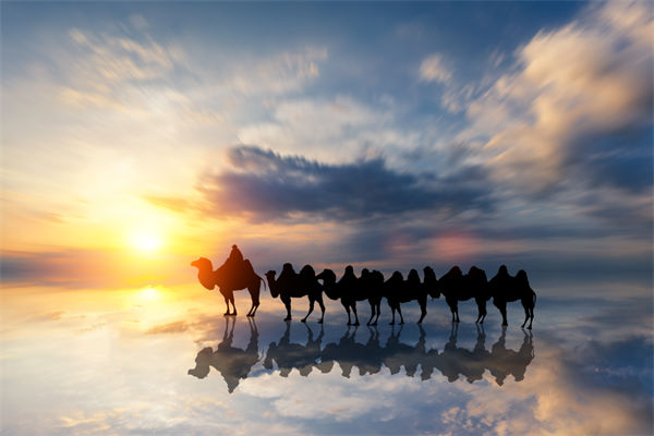 戰(zhàn)略與文化脫節(jié)，企業(yè)理念如何落地支撐發(fā)展？