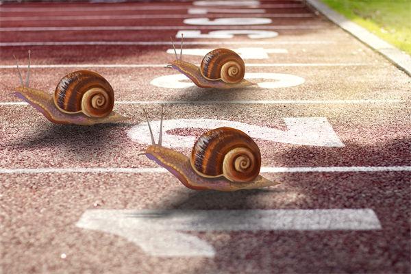 新業(yè)務(wù)拓展艱難，年度經(jīng)營計劃為其定制專屬發(fā)展路徑