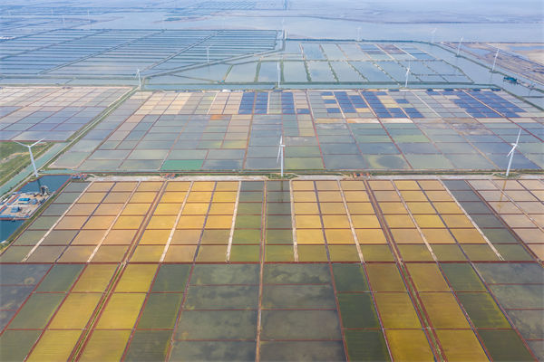 濰坊集團子公司失控內(nèi)耗嚴(yán)重，濰坊集團管控咨詢公司如何重構(gòu)權(quán)責(zé)體系？