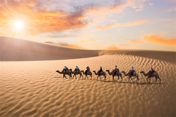 企業(yè)文化管理失效？這三大認(rèn)知誤區(qū)為何拖垮團(tuán)隊(duì)？