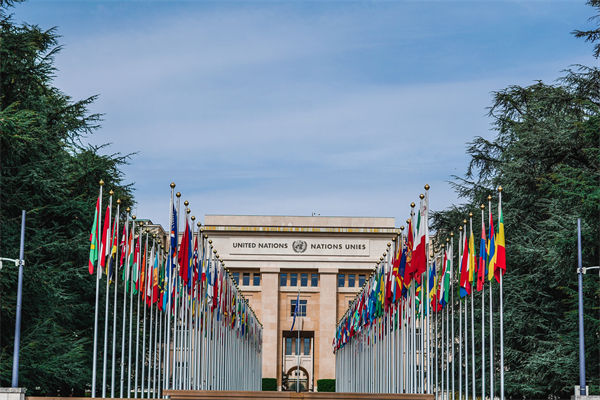 英法等25國發(fā)表聯(lián)合聲明，企業(yè)組織規(guī)劃有何啟示？