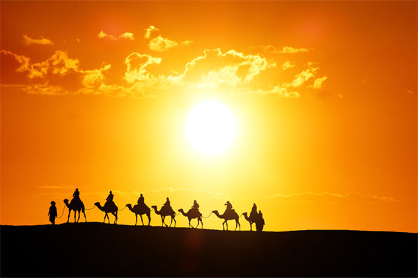 高層標榜的企業(yè)文化，如何穿透形式真正落地生根？