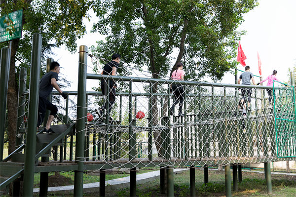 文化活動形式豐富多樣，組織凝聚力提升為何緩慢？