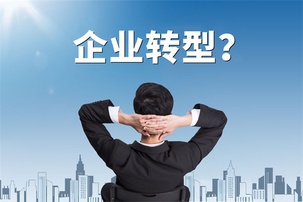 企業(yè)轉(zhuǎn)型無方向，數(shù)智化咨詢公司能否指引明路？