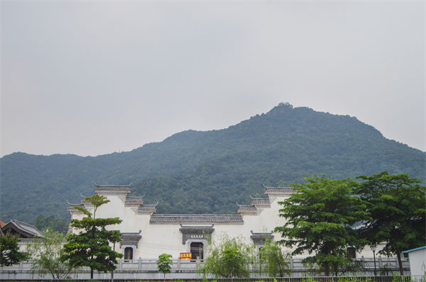 子公司各自為戰(zhàn)內(nèi)耗大，佛山集團(tuán)管控咨詢公司有何整合之道？