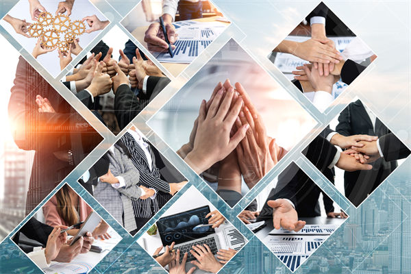 推動(dòng)綠色發(fā)展，上合組織在行動(dòng)，企業(yè)有何啟示？