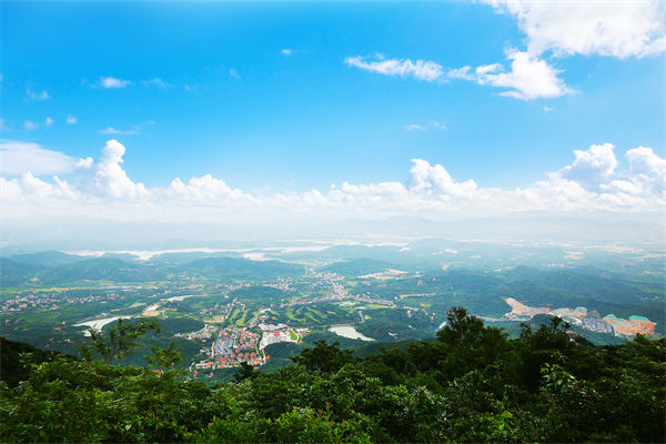 企業(yè)戰(zhàn)略飄在半空落地難，惠州戰(zhàn)略咨詢公司能錨定方向嗎？