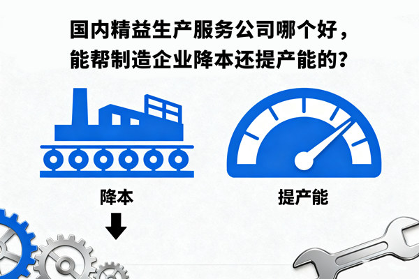 國內(nèi)精益生產(chǎn)服務(wù)公司哪個(gè)好，能幫制造企業(yè)降本還提產(chǎn)能的？