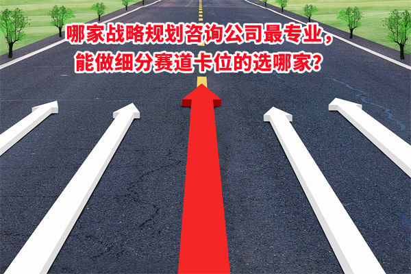 哪家戰(zhàn)略規(guī)劃咨詢公司最專業(yè)，能做細(xì)分賽道卡位的選哪家？