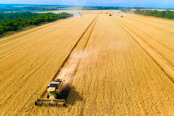 農(nóng)業(yè)行業(yè)供應(yīng)鏈管理咨詢公司推薦，能解農(nóng)資采購(gòu)成本高問題嗎？