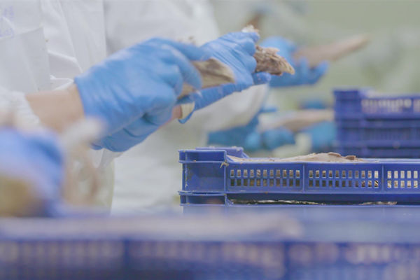 本土駐廠精益生產(chǎn)咨詢哪家強，能快速提升產(chǎn)線流轉(zhuǎn)效率么？